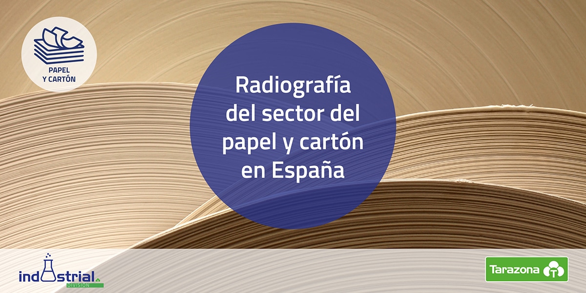 radiografia sector papel y carton en españa