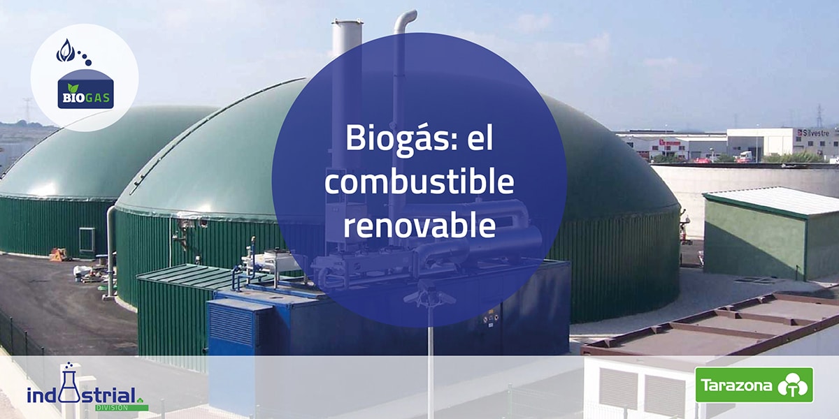 biogas combustible renovable